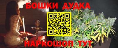 индика Сланцы