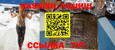 индика Сланцы