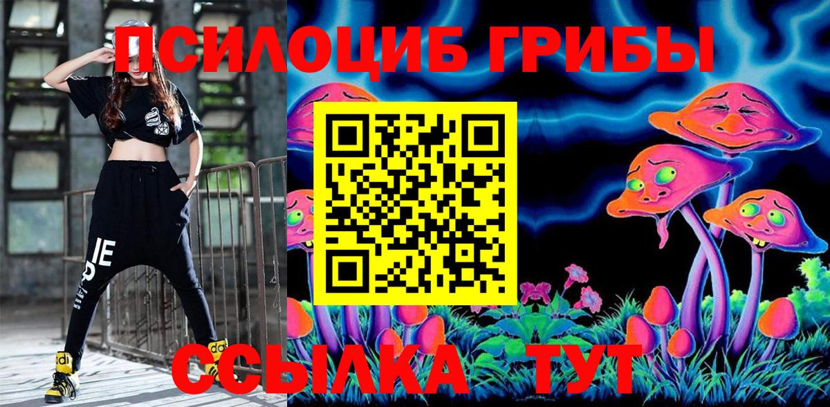 Псилоцибиновые грибы Psilocybe Тула