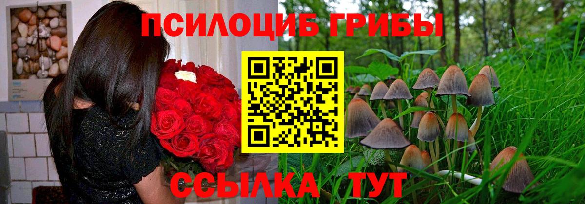 Псилоцибиновые грибы прущие грибы  Галлюциногенные грибы MAGIC MUSHROOMS  где купить наркоту  Вход с VPN  Тула 